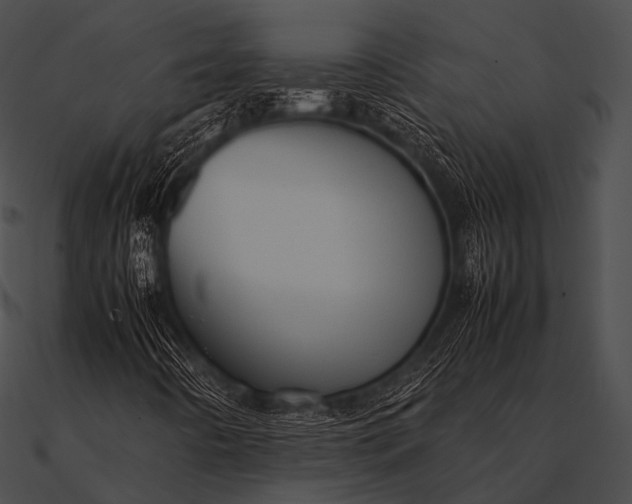 X0000090491442200708031136