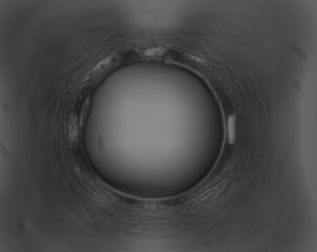 X0000090491443200708031136