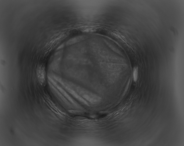 X0000090491444200708031136