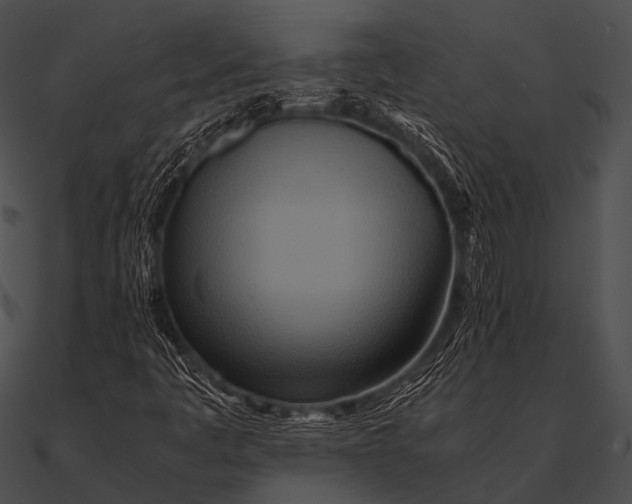 X0000090491445200708031136