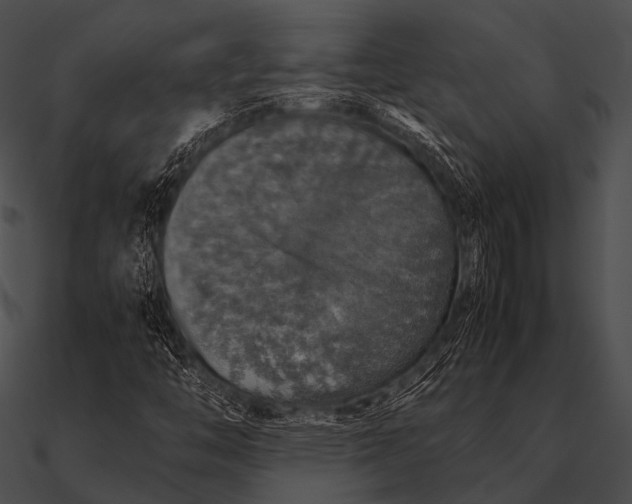 X0000090491446200708031136