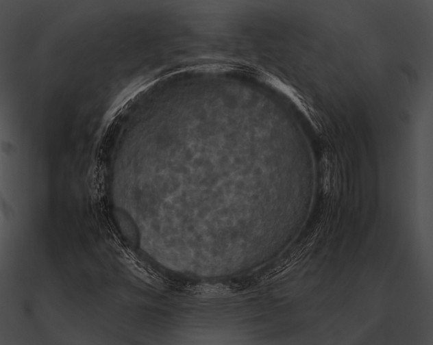X0000090491448200708031136