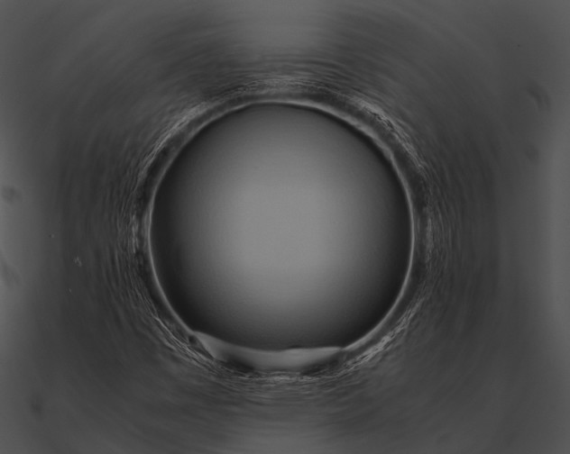 X0000090491449200708031136