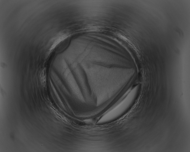 X0000090491450200708031136