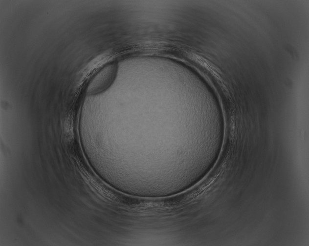 X0000090491451200708031136