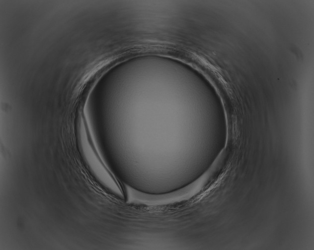 X0000090491453200708031136