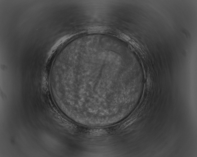 X0000090491454200708031136