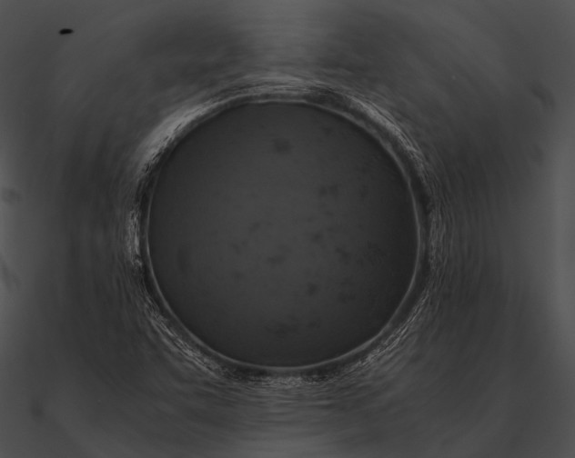 X0000090491455200708031136