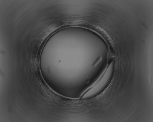 X0000090491457200708031136