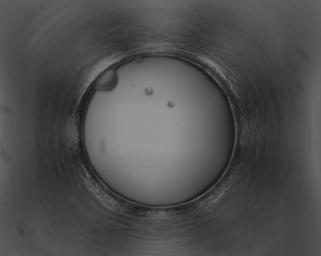 X0000090491458200708031136