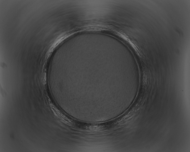X0000090491459200708031136