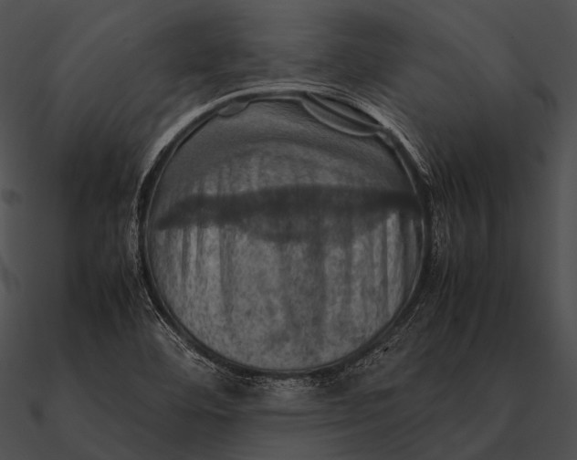X0000090491460200708031136