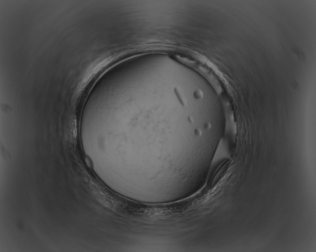 X0000090491461200708031136