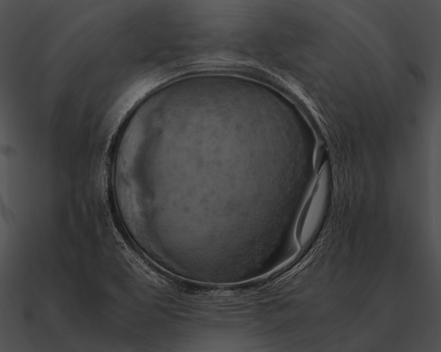 X0000090491463200708031136