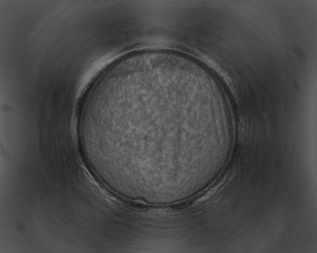 X0000090491464200708031136