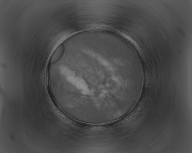 X0000090491467200708031136