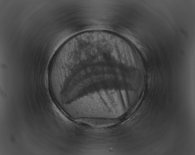 X0000090491468200708031135