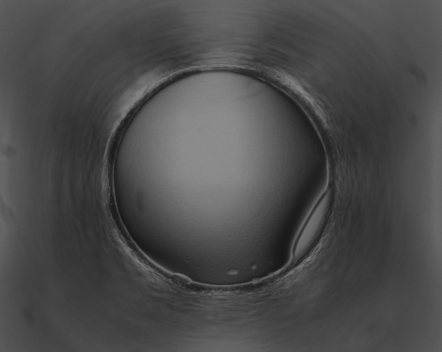 X0000090491469200708031135