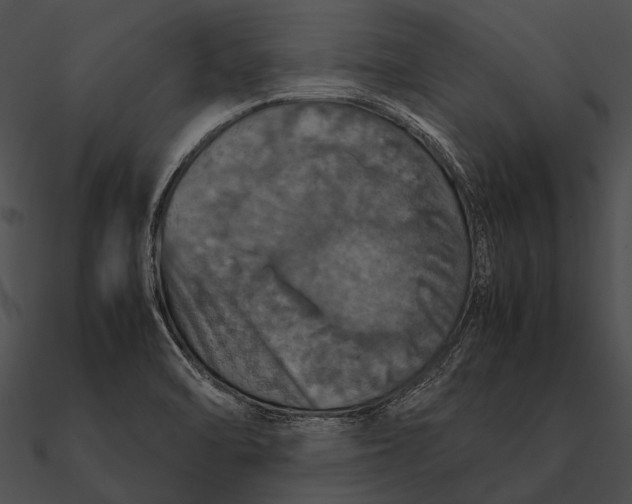X0000090491470200708031135