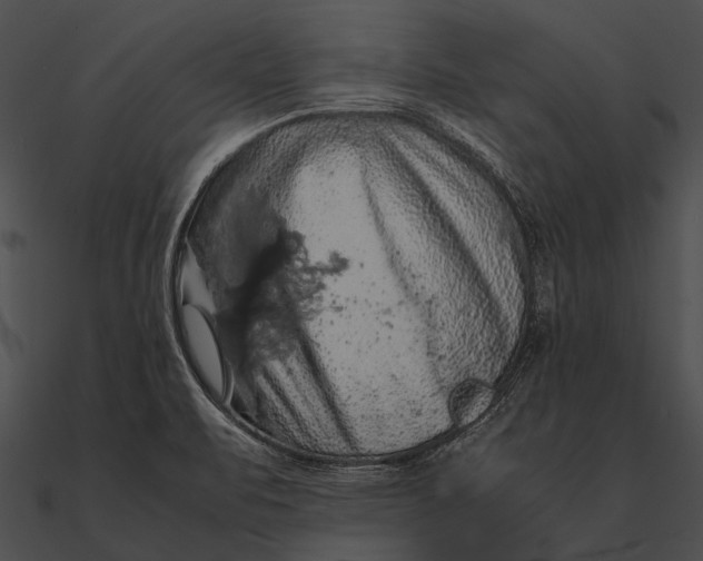 X0000090491471200708031135