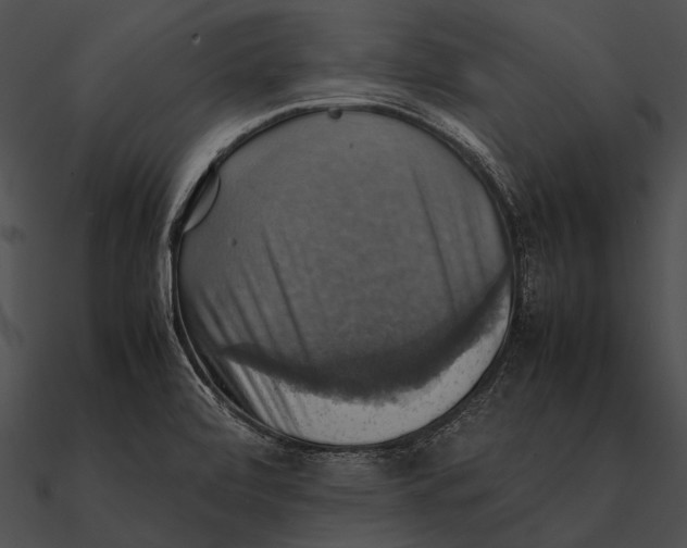 X0000090491472200708031135