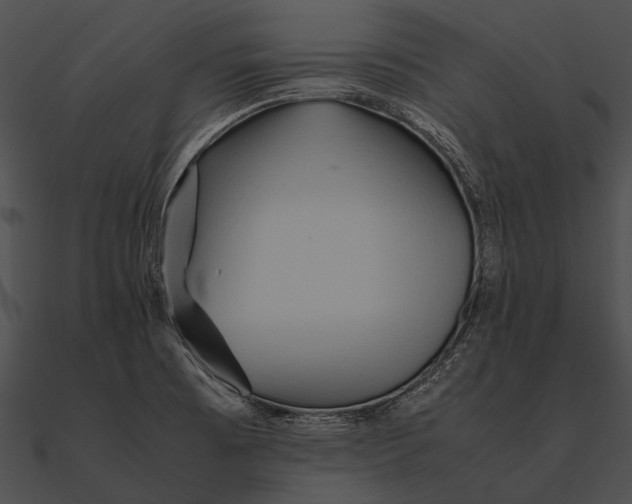 X0000090491473200708031135