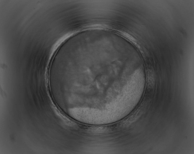 X0000090491474200708031135