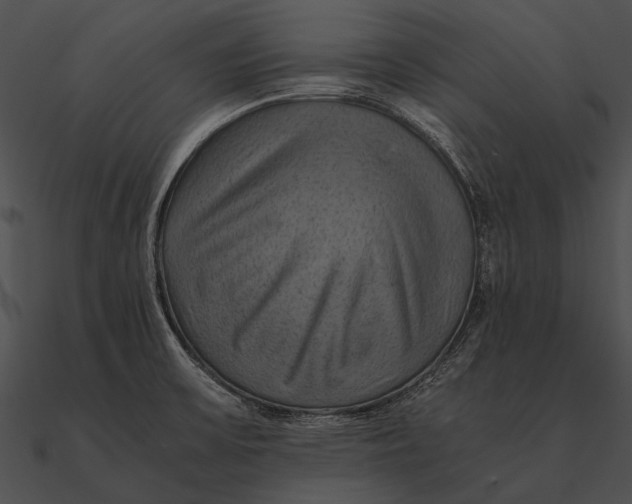 X0000090491475200708031135