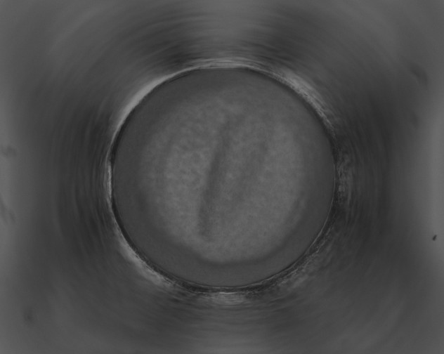 X0000090491476200708031135