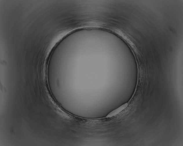 X0000090491477200708031135