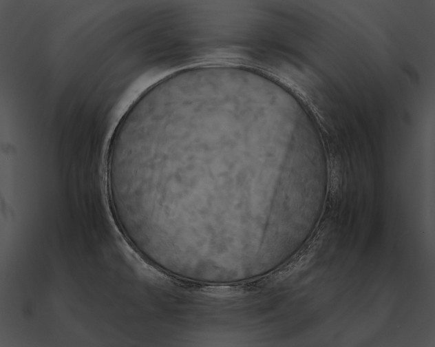 X0000090491478200708031135