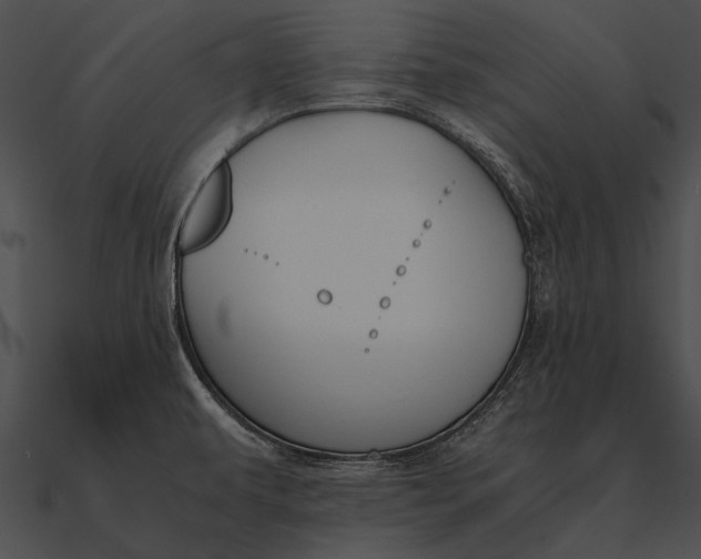X0000090491479200708031135