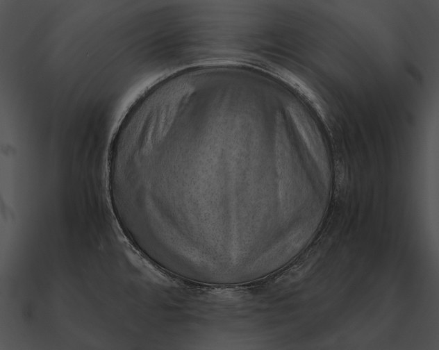 X0000090491480200708031135
