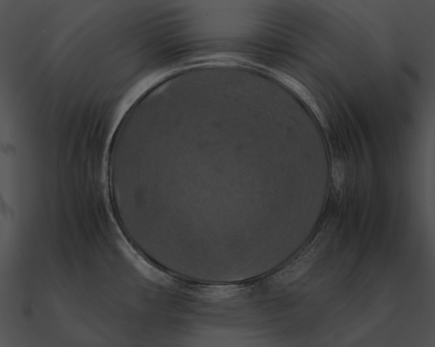 X0000090491482200708031135
