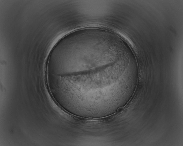 X0000090491483200708031135