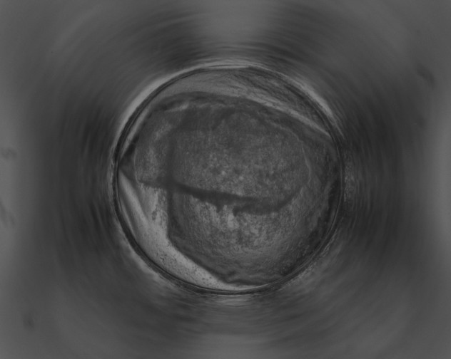X0000090491484200708031135