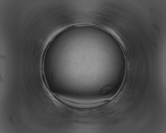 X0000090491485200708031135