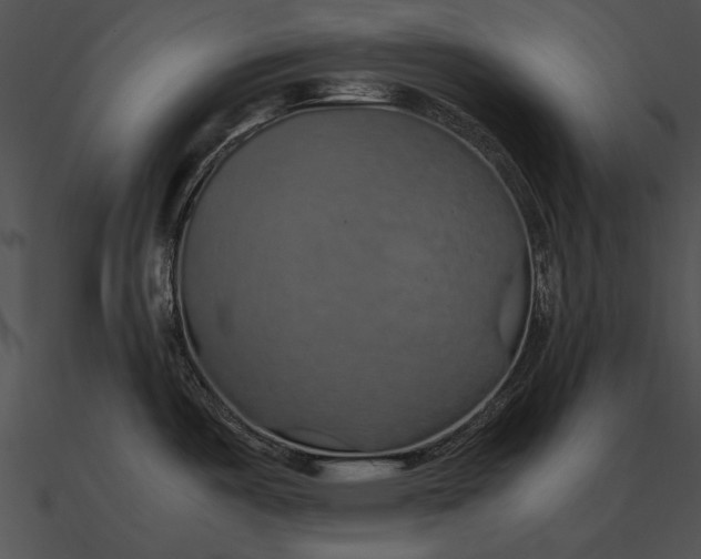 X0000090491487200708031135