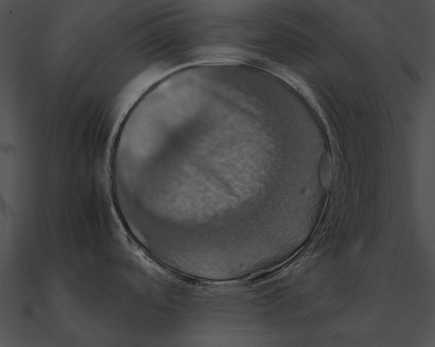 X0000090491488200708031135