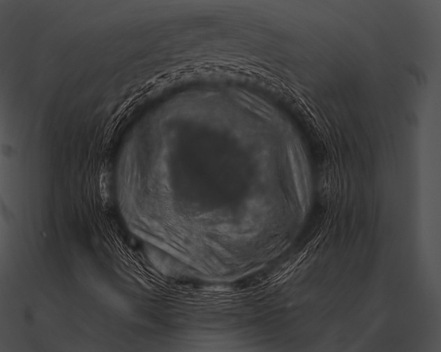X0000090491490200708031135