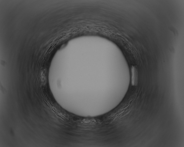 X0000090491491200708031135