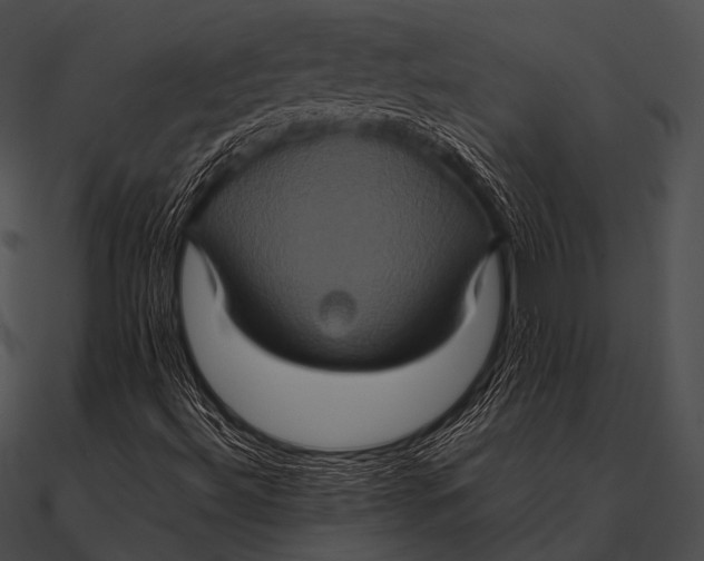 X0000090491492200708031135