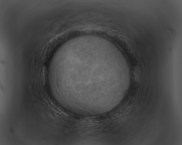 X0000090491493200708031135