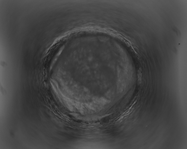 X0000090491494200708031135