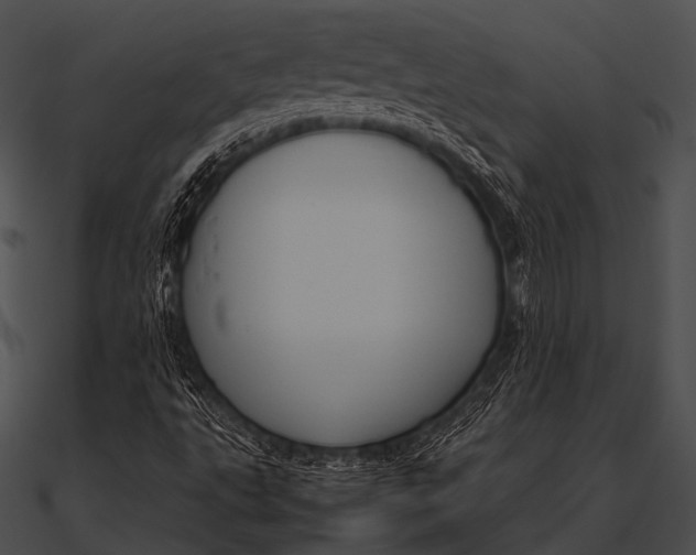 X0000090491495200708031135