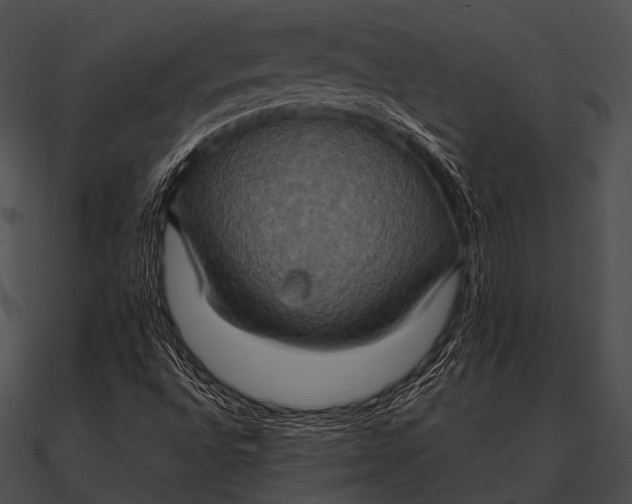 X0000090491496200708031135