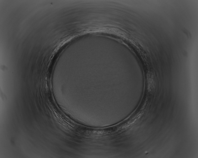 X0000090491497200708031135