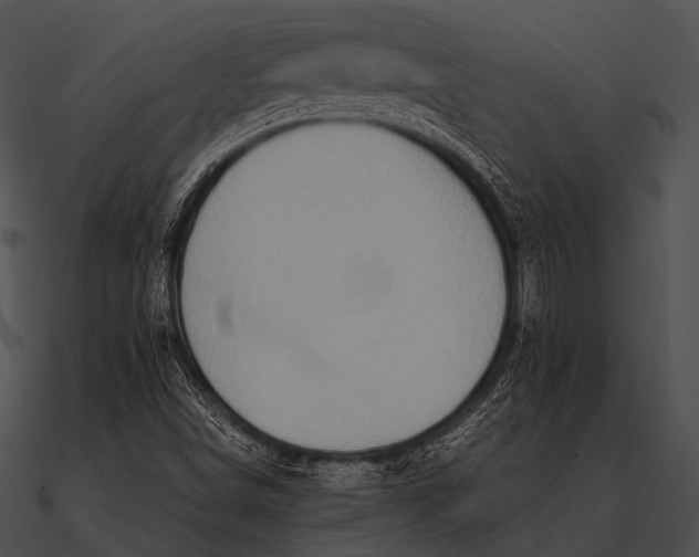X0000090491498200708031135
