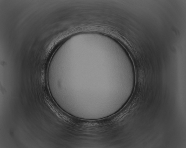 X0000090491499200708031135