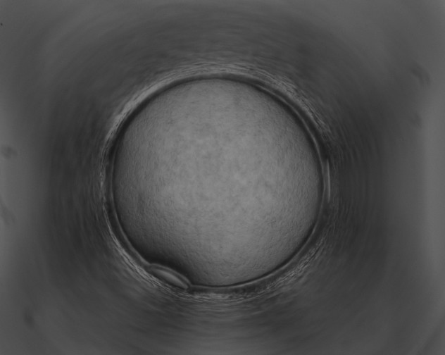 X0000090491500200708031135